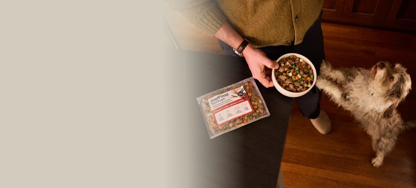 picture of a man holding a dog and bowl of food