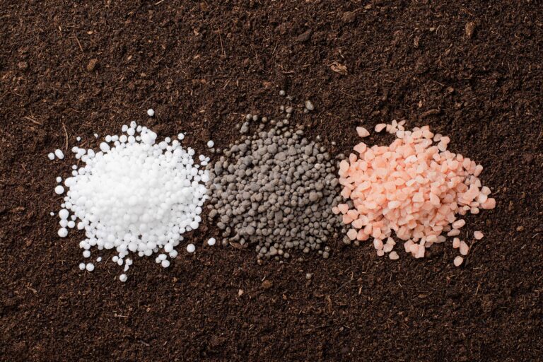 fertilizer
