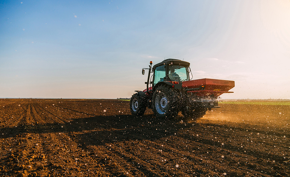 nitrogen fertilizer