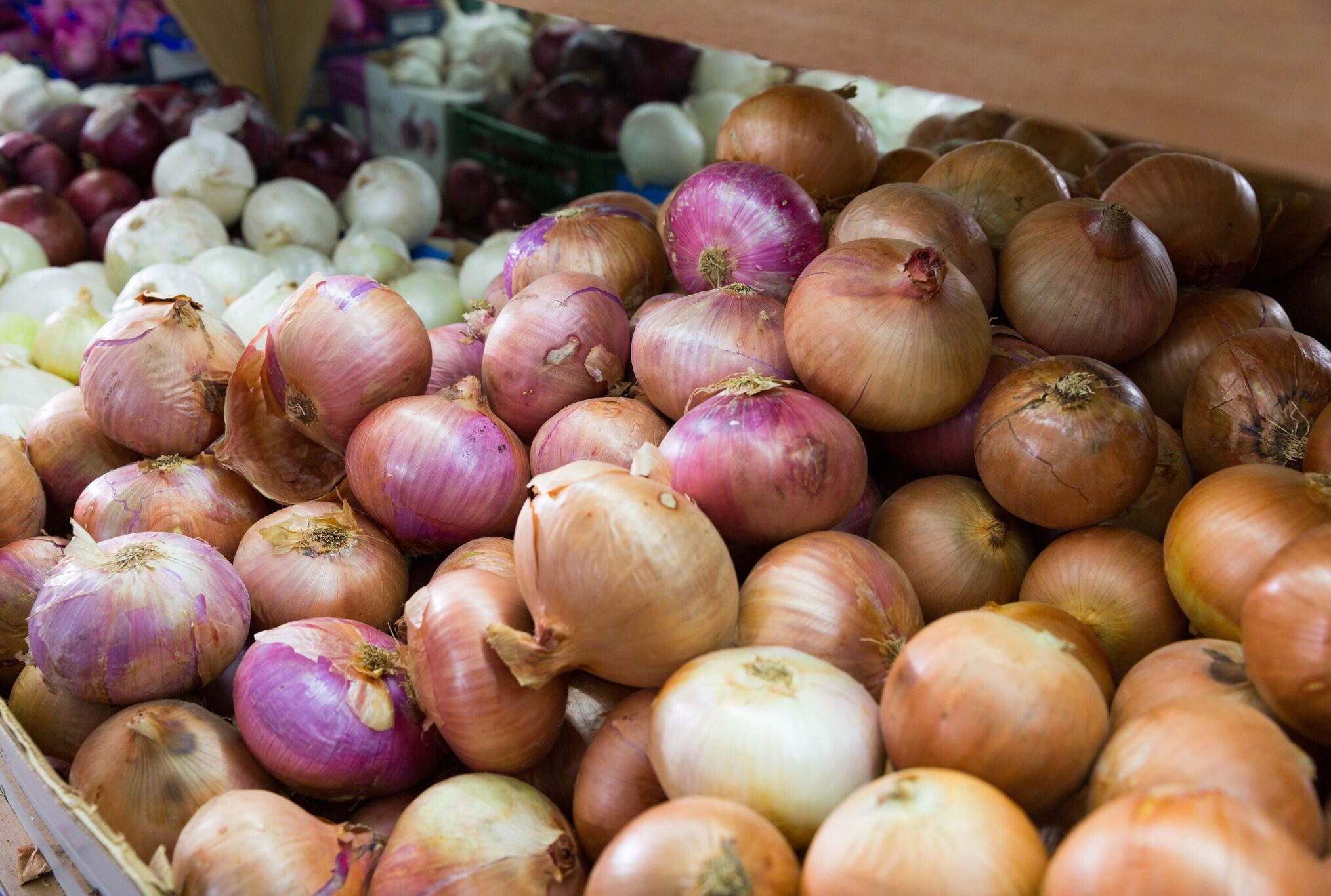 onions