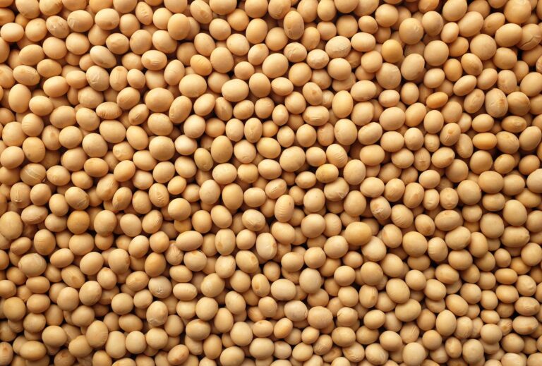 soybeans