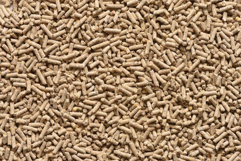 Close-up of pelleted feed additives – core ingredient in global animal feed pricing