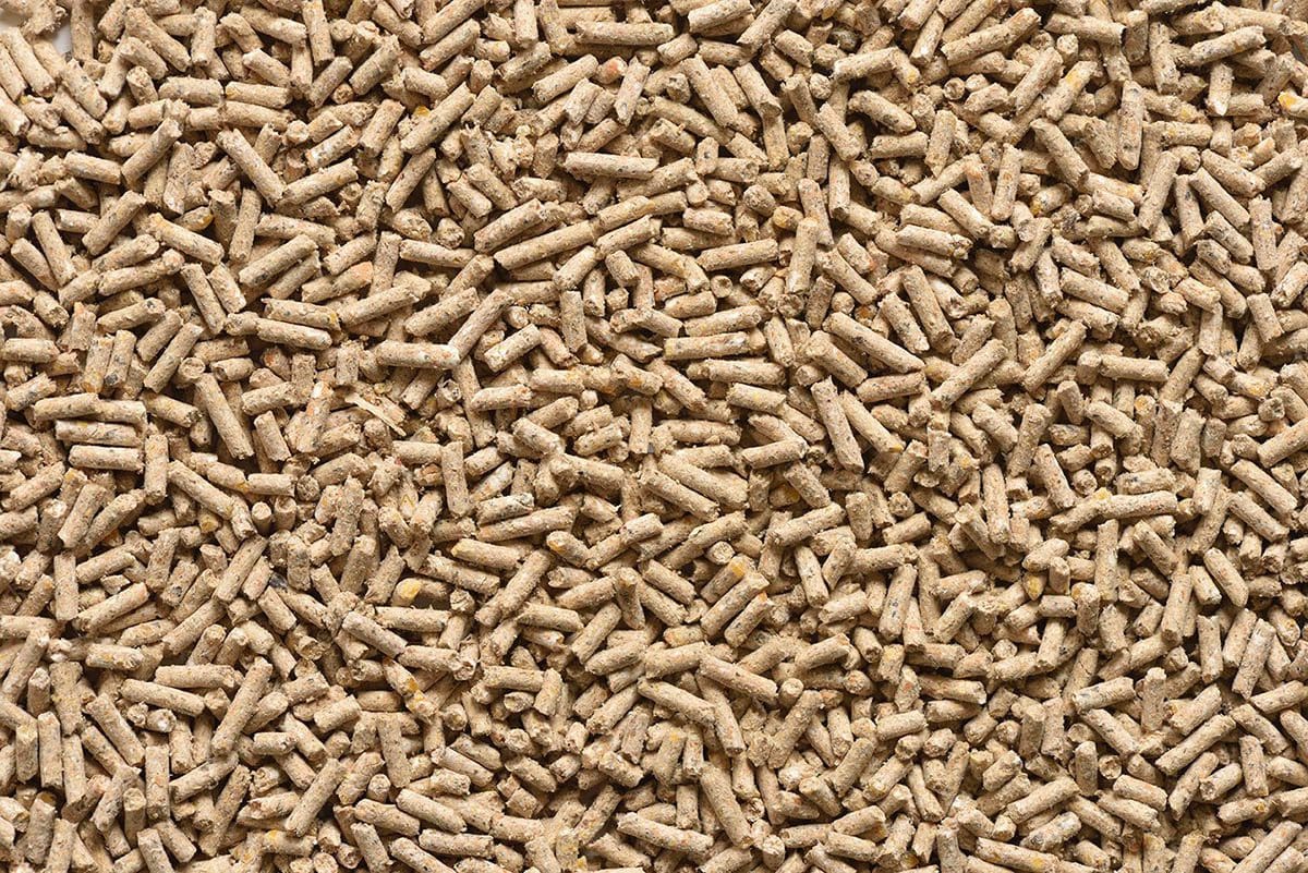Close-up of pelleted feed additives – core ingredient in global animal feed pricing