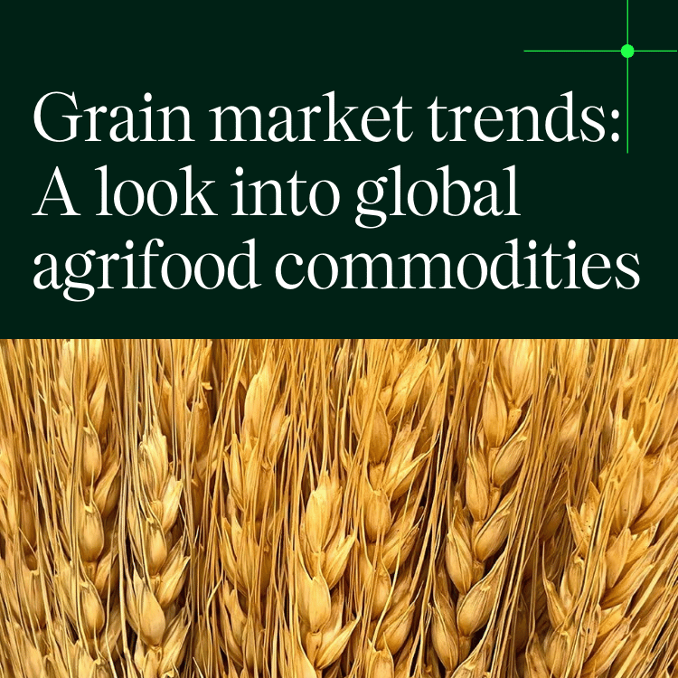 Grains market trends