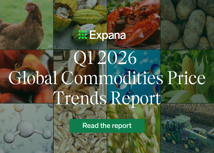 Global Commodities Price Trends Report image